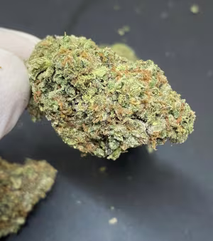 Britscotti - Boutique UK Grown - Top Shelf Hydroponics