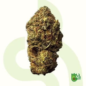 Animal Sorbet *Free Shipping*