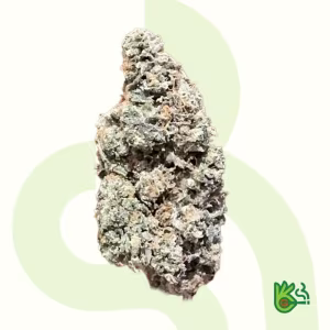 Lunar Lime *Free Shipping*