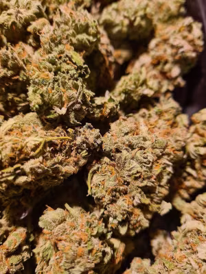 Super Lemon Haze Oz's