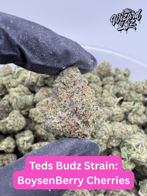 Ted's Budz Strain: BoysenBerry Cherries