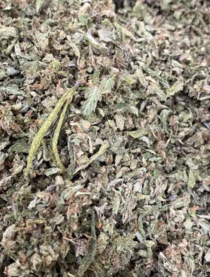 PreRoll Quality Strawberry CupCake Shake - In House Gas