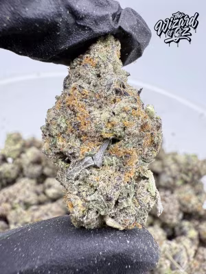 Mr Gelatti Strain: Nieve De Lemon