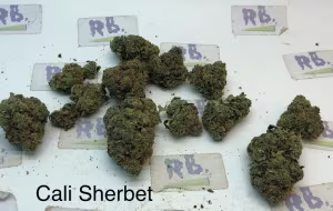 Cali Sherbet Top shelf UK