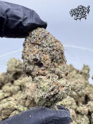 Doja x Barney's Farm Strain: Papaya Frosting