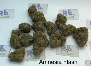 Amnesia Flash Top Shelf UK