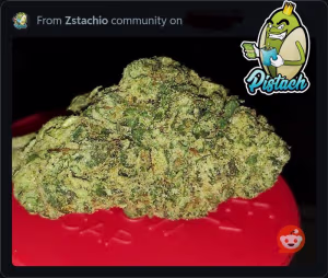 MEGAN FOX - SILVER FOX X RUNTZ FREE POSTAGE