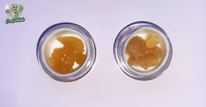 Live Resin Budder