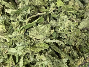 PreRoll Quality Skittles Shake - In House Gas