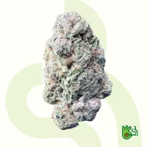 Super Boof *Free Shipping*