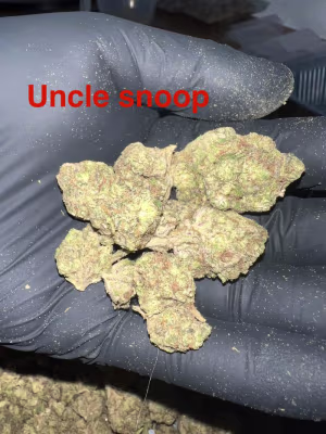 Flower Deals πΊπΈπΊπΈ