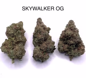 SKYWALKER OG