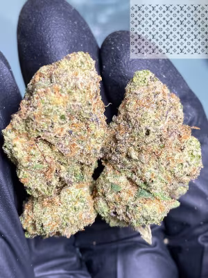 ZOAP TOPSHELF IMPORT