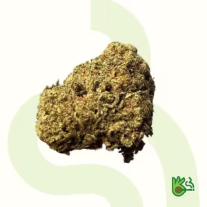 Space X *Free Shipping*