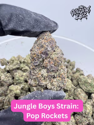 Jungle Boys Strain: Pop Rockets