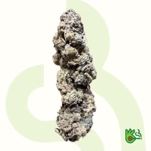 Forest Drip *Free Shipping*