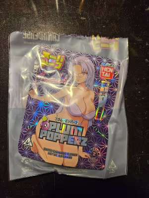 Super Hentai - Plum Popperz