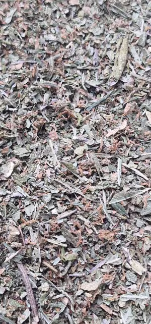 StarDawg Shake - Very Low Cost Trim