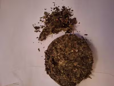 Thai Stick Natural Mellow Weed. Sungrown & Organic