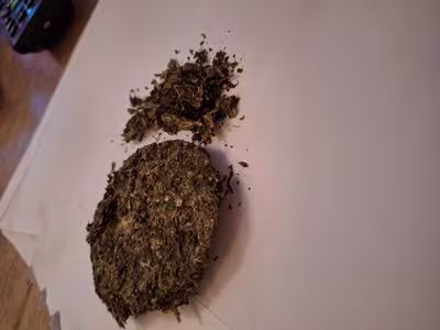 Thai Stick Natural Mellow Weed. Sungrown & Organic