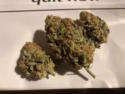 UK Chemdawg